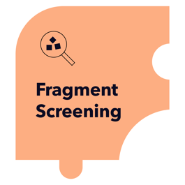 01_FRAGMENT_SCREENING