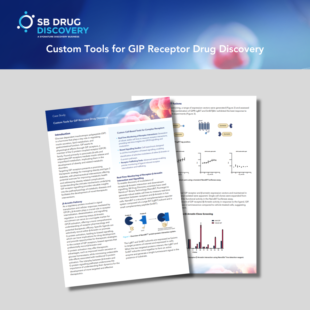 GIPR case study cover-1 GIPR case study cover-1