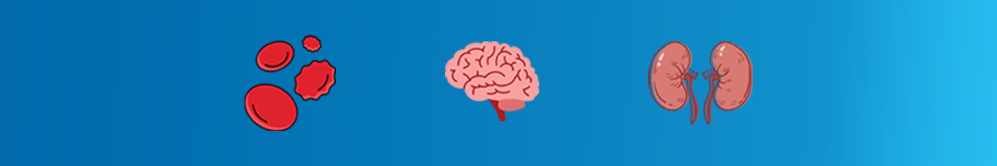 in-vivo-lps-model-1 in-vivo-lps-model-1