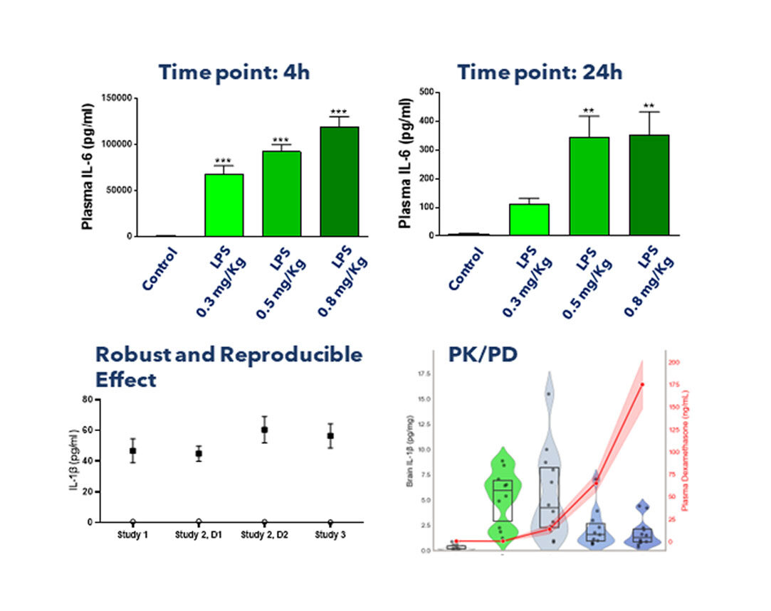 LPS-graph-2 LPS-graph-2